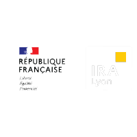 Logo site Internet ira-lyon.gouv.fr